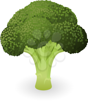 Royalty Free Clipart Image of Broccoli 