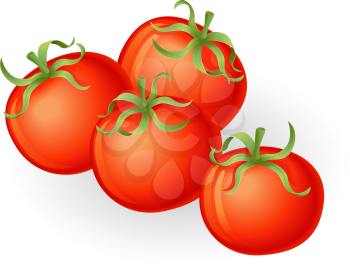 Royalty Free Clipart Image of Tomatoes