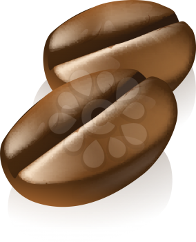 An illustration of two brown roasted coffee beans  or seeds