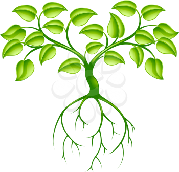 Green tree graphic design concept with long roots