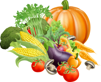 Illustration of produce assortment of healthy fresh vegetables