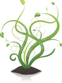 Royalty Free Clipart Image of a Plant in Dirt