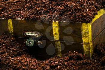 Royalty Free Photo of a Wooden Chest Buried in Bark and Water