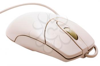 Close-up of a computer mouse isolated over white
