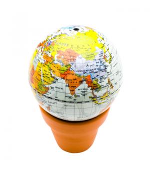 Globe on a pot isolated over white
