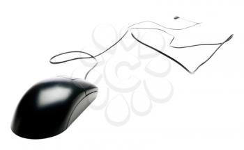 Computer mouse of black color isolated over white