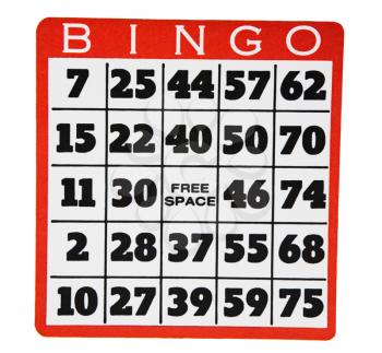Bingo isolated over white
