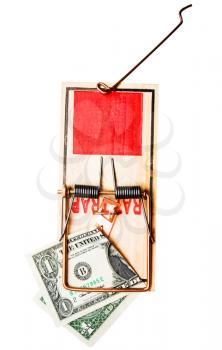 US dollar bill in a mousetrap isolated over white