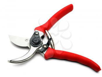 Red color pruning shears isolated over white