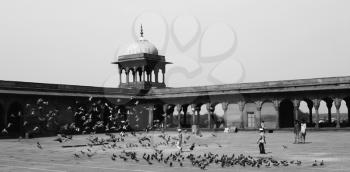 Courtyard of a mosque, Jama Masjid, Delhi, India