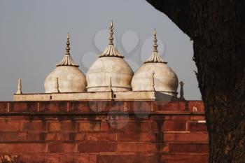 Low angle view of a fort, Agra Fort, Agra, Uttar Pradesh, India