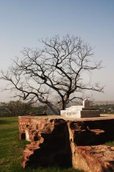 Ruins of a grave, Fatehpur Sikri, Agra, Uttar Pradesh, India