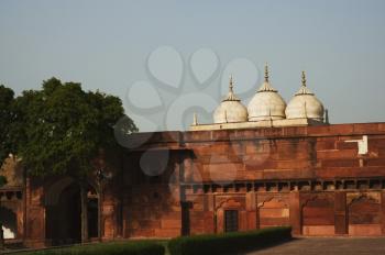 Facade of a fort, Agra Fort, Agra, Uttar Pradesh, India