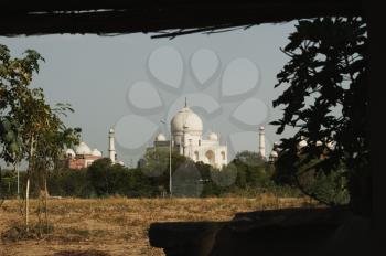 Field with the mausoleum in the background, Taj Mahal, Agra, Uttar Pradesh, India