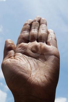 Close-up of a human palm, New Delhi, India
