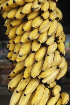 Bunch of bananas hanging at a market stall, Mysore, Karnataka, India