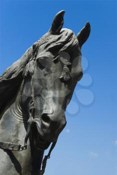 Close-up of a horse statue, Theodoros Kolokotronis, Athens, Greece