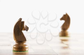 Close-up of chess knights on a chessboard
