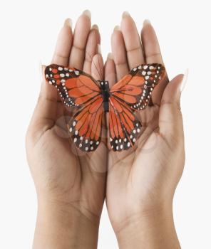 Woman's hands holding a butterfly