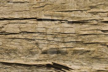 Close-up of a weathered wooden surface, Gurgaon, Haryana, India