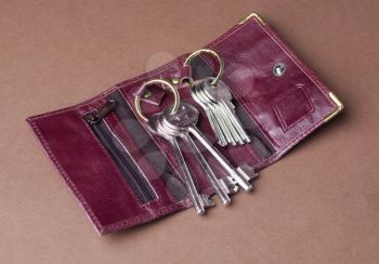 Close-up of a wallet with key rings