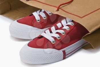 Close-up of a pair of canvas shoes in a shopping bag