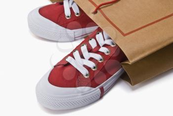 Close-up of a pair of canvas shoes in a shopping bag