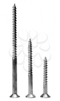 Close-up of screws arranged in a row
