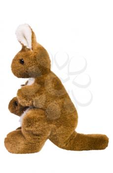 Close-up of stuffed kangaroo toys