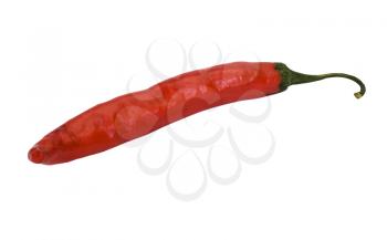 Close-up of a red chili pepper