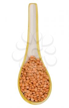 Close-up of red lentils in a spoon