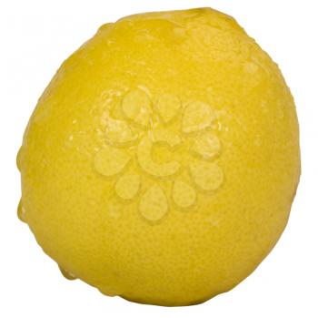 Close-up of water droplets on a yellow lemon