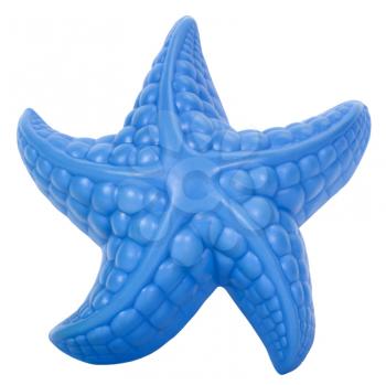 Close-up of a toy starfish