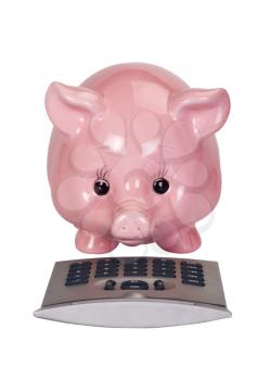 Close-up of a piggy bank with a calculator