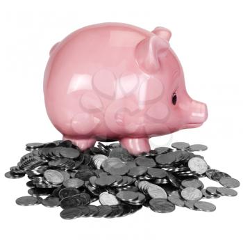 Piggy bank on a heap of coins