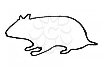 Outline of a rat