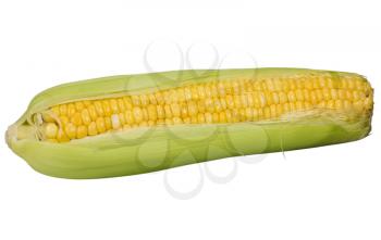 Close-up of a corn cob