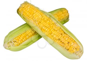 Close-up of corn cobs