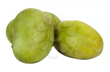 Close-up of green mangoes