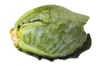 Close-up of a green cabbage