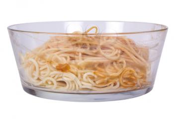 Close-up of a bowl of noodles