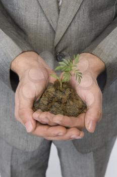Businessman holding a sapling