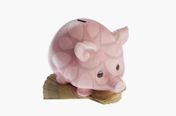 Piggy bank on a bundle of currency notes