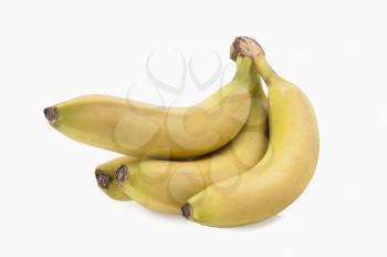 Close-up of four bananas