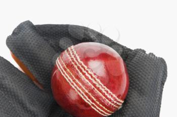 Close-up of a cricket ball on a wicket keeping glove