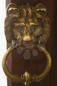 Close-up of a door knocker, Gwalior, Madhya Pradesh, India