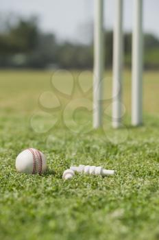 Cricket ball with bails on grass