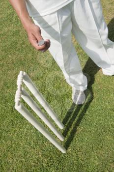 High angle view of a cricket player tossing a coin