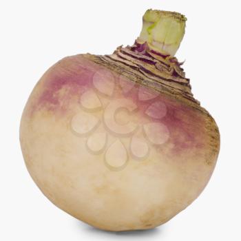 Close-up of a turnip