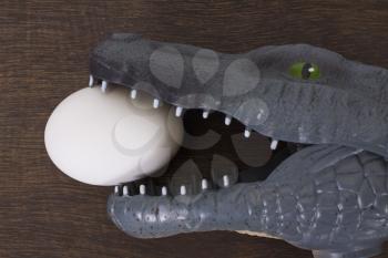 Toy crocodile holding an egg in jaw
